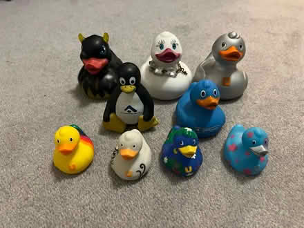 Photo of free Rubber Duck Collection (Clapham North SW4) #1