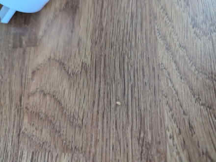 Photo of free Dining room table (Gorleston NR31) #2