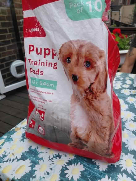 Photo of free Puppy training pads (Stafford ST17) #1