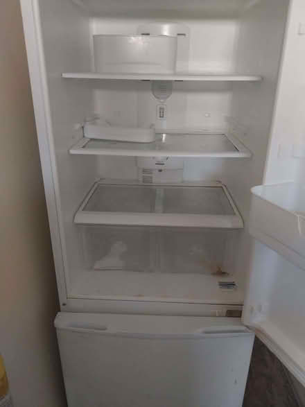 Photo of free Fridge freezer (Harpurhey M40) #1