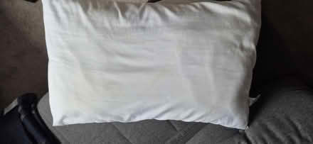 Photo of free 2x M&S pillows (Narborough LE19) #3