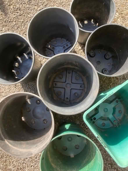 Photo of free Large plant pots (Westbury on Trym BS9) #3