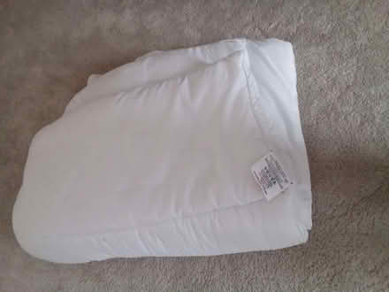 Photo of free Duvet (Rush Green CO15) #2