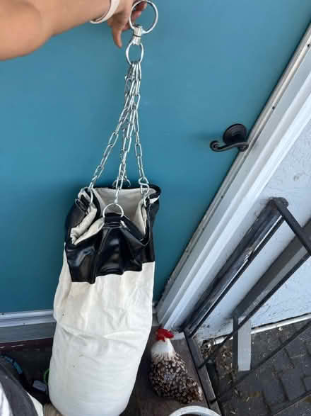Photo of free Punching bag (Campbell/Winchester) #1