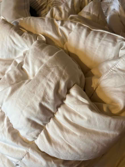 Photo of free King feather duvet (Penge SE20) #1