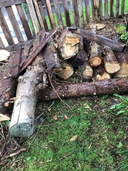 Photo of free wood (Penrith CA11) #1