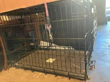 Photo of free Dog Crates and bedding (Pacheco Valle in Novato) #3