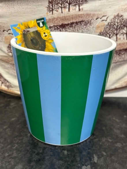 Photo of free Plant Pot and Seeds (Marston Moretaine, MK43 0) #2
