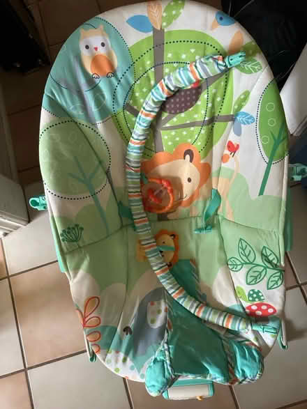 Photo of free Stroller and bouncy chair (Milton) #3