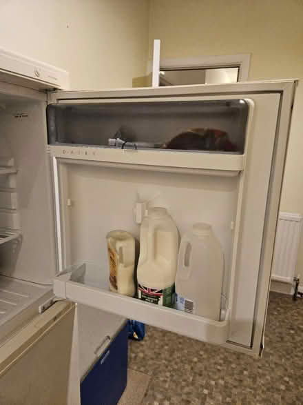 Photo of free Fridge freezer (BS16 2SP) #4
