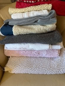 Photo of free Dog Crates and bedding (Pacheco Valle in Novato) #4