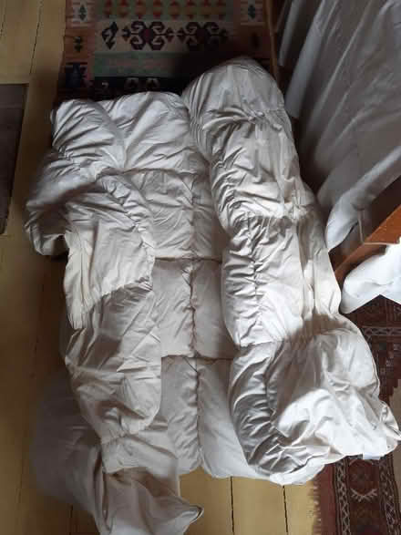 Photo of free Single feather and down duvet (Leeman Road YO26) #2