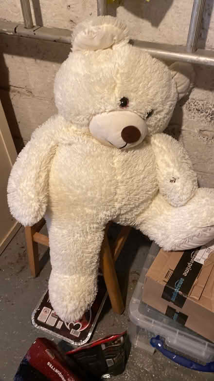 Photo of free Large teddy bear (Pyrford GU22) #1