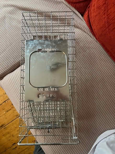 Photo of free Humane squirrel trap (Harolds cross) #2
