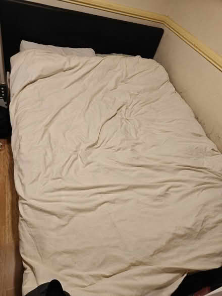 Photo of free Ottoman storage double bed (Charlton SE7) #3