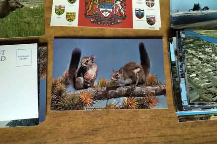 Photo of free Post cards of Canada (Belper DE56) #3