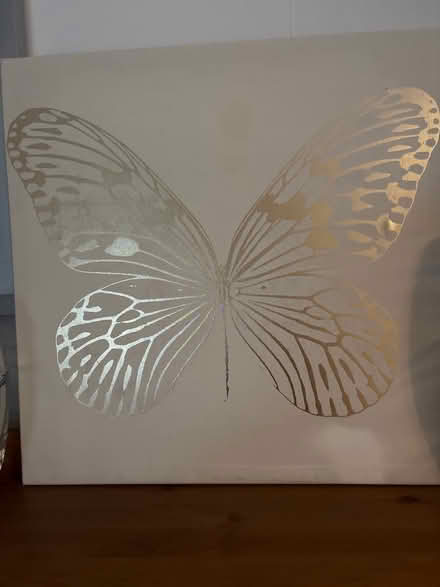 Photo of free Butterfly picture (Shirley B90) #1