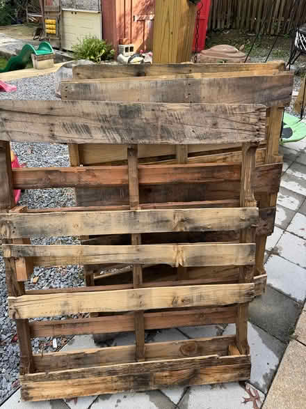 Photo of free Wooden pallets (Hillandale) #1