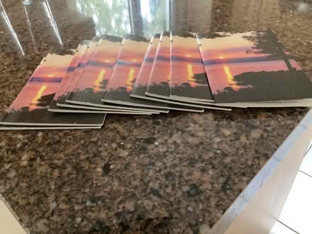 Photo of free 10 Bridge Pads (Bloor W/ Mill Rd) #1