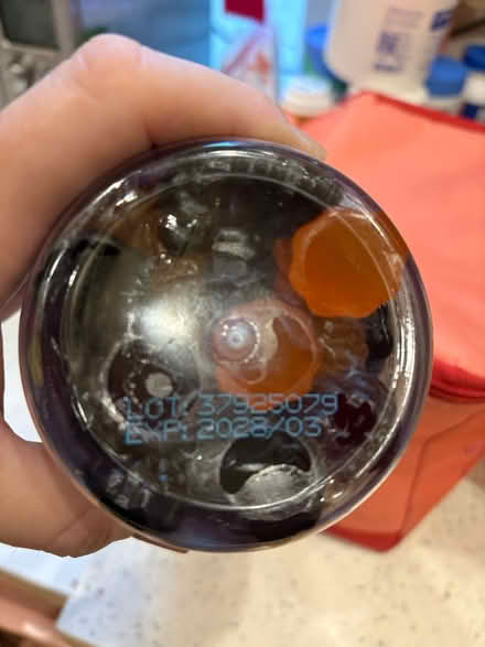 Photo of free Brand new, never opened (Alameda) #3