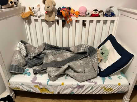 Photo of free Toddler/ child bed with washable Newton mattress (Northcote Road SW11) #1