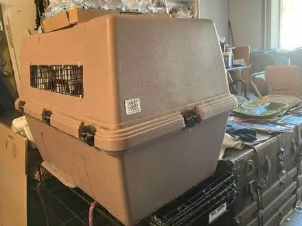 Photo of free Dog Crates and bedding (Pacheco Valle in Novato) #2