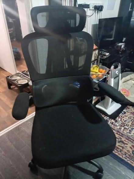Photo of free Gaming chair (Old Heath CO2) #1