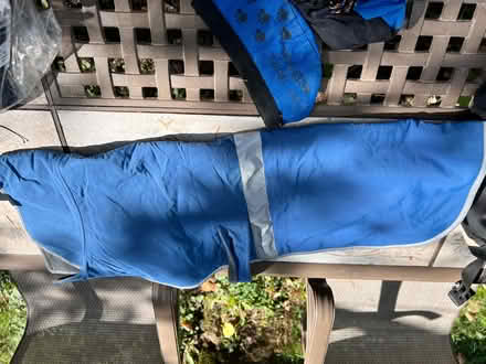 Photo of free Med-lg dog supplies (Lunenburg) #3