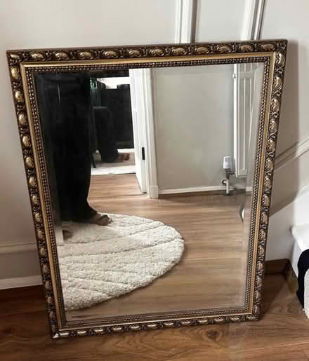 Photo of free Mirror and rug (Welling DA16) #1