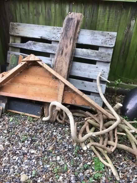 Photo of free Wood - old shed, pallets, misc bits (New Costessey NR5) #3