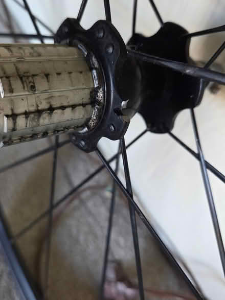 Photo of free bicycle wheel (Kirkridge) #1
