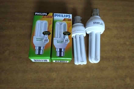 Photo of free Light bulbs (Belper DE56) #1