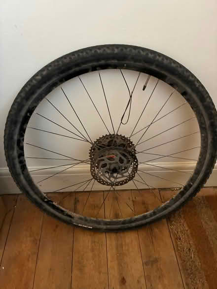 Photo of free Two 27.5 gravel wheels with tyres and rotors (Steyning BN44) #2