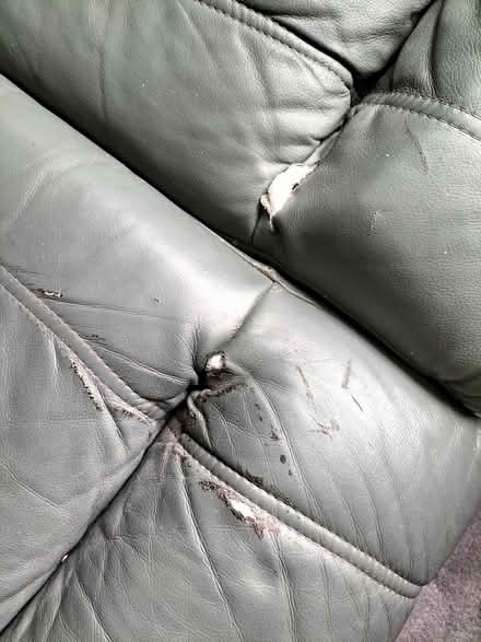 Photo of free Leather sofa (Corsham) #2