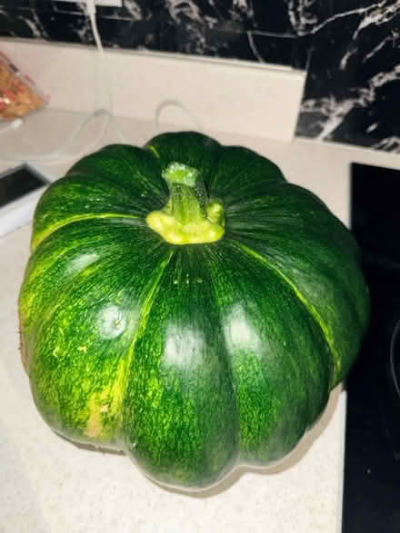 Photo of free Pumpkin (Harlow CM18) #1