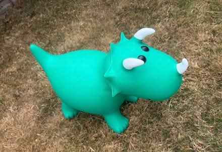 Photo of free Garden inflatable dinosaur (Bannister Green CM6) #1