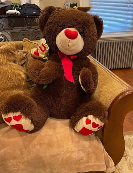 Photo of free Giant teddy bear (Clinton) #1