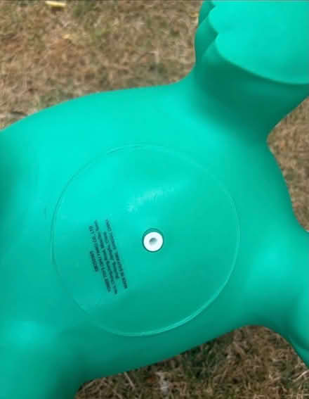 Photo of free Garden inflatable dinosaur (Bannister Green CM6) #3