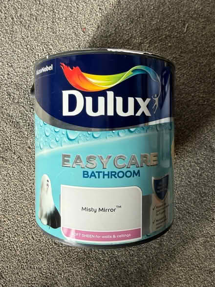 Photo of free Misty mirror bathroom paint (Marcham OX13) #1