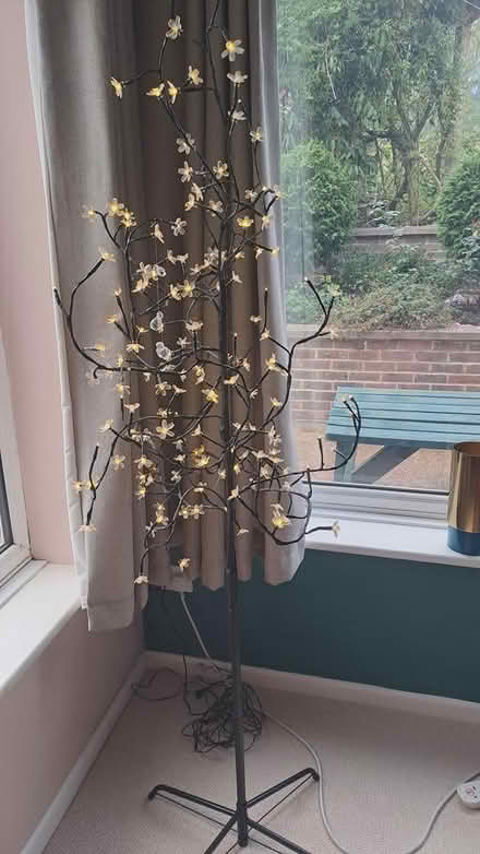 Photo of free Fairy light tree (Worthing road) #1
