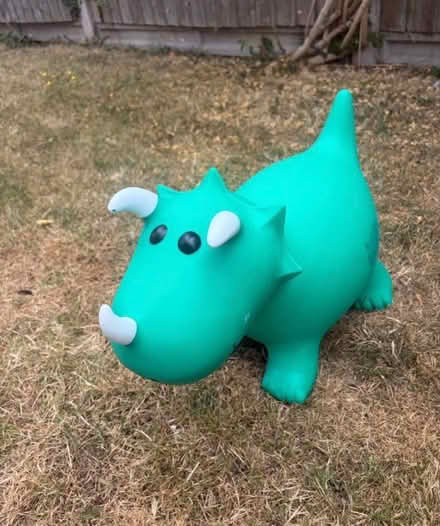 Photo of free Garden inflatable dinosaur (Bannister Green CM6) #2
