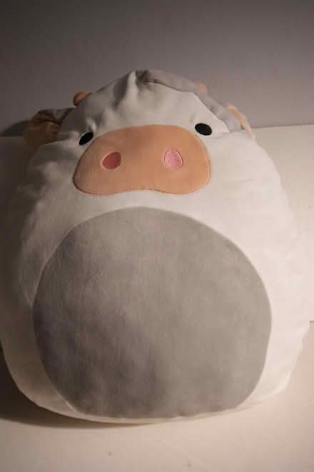 Photo of free Squishmallow style cow (Gosport PO12 (town)) #1