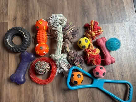 Photo of free Dog toys (Lords Wood ME5) #1