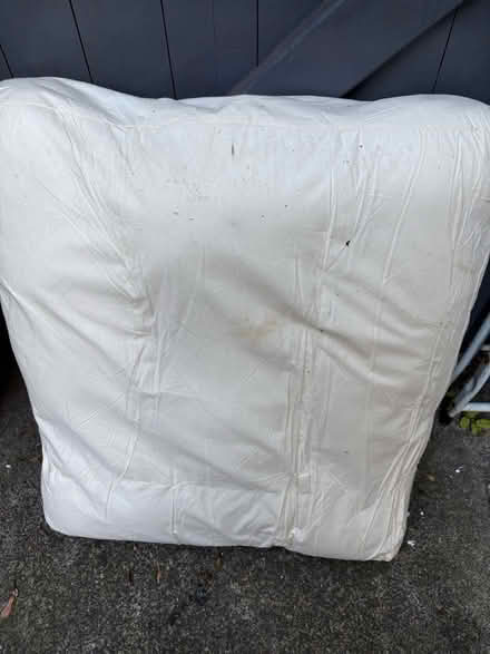 Photo of free Large chair cushion insert (Morrell Avenue OX4) #1