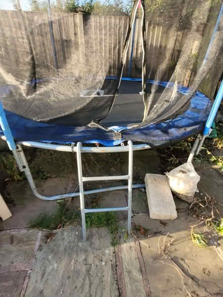 Photo of free Trampoline (Skerton LA1) #3