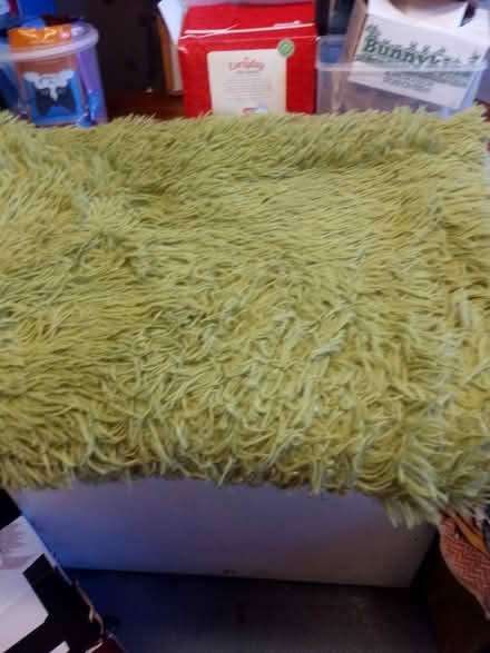 Photo of free Green fluffy rug large (Ashhill walk Bd47jf) #1