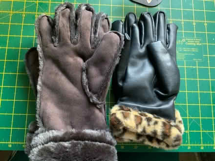 Photo of free Two pair ladies gloves (Aspley NG8) #1