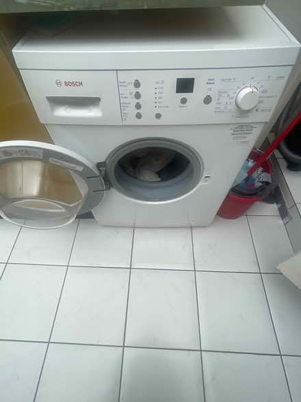 Photo of free Sofas and washing machin yese (Muswell Hill N10) #1