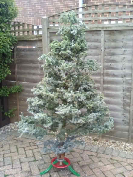 Photo of free Artificial Xmas Tree (Pennington SO41) #1