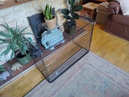 Photo of free Black mesh fireguard (Stinchcombe GL11) #1